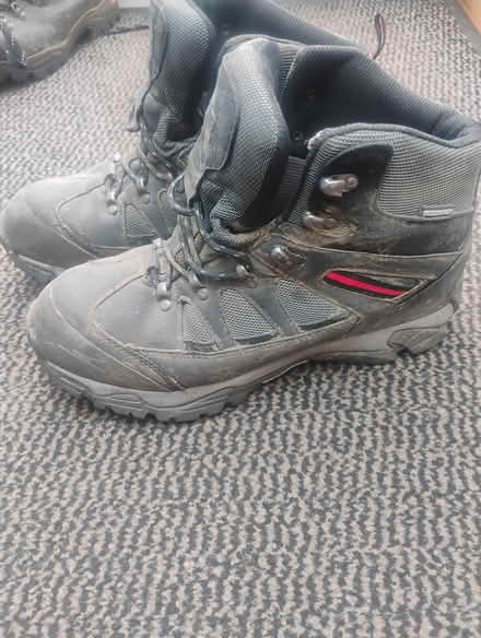 Photo of free Walking boots (PO15 Hill Park) #2