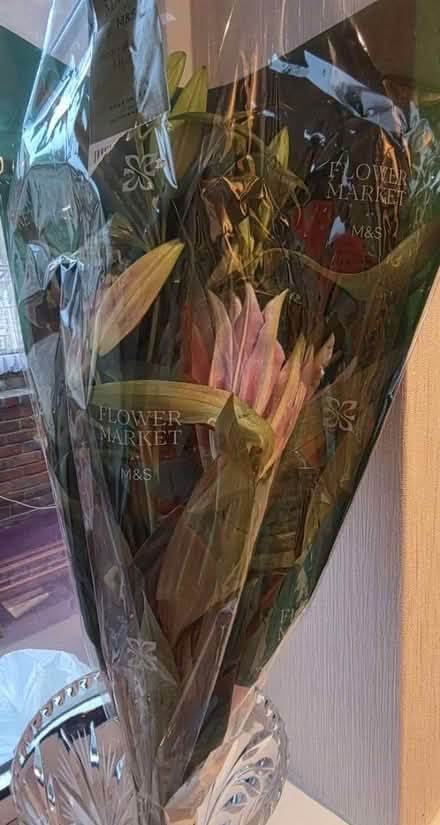 Photo of free Bunch Lillies (Bovingdon) #1