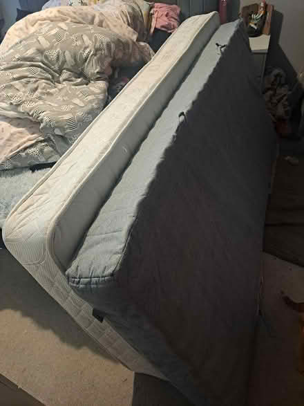 Photo of free 2 Single Mattresses (Home ME15) #1