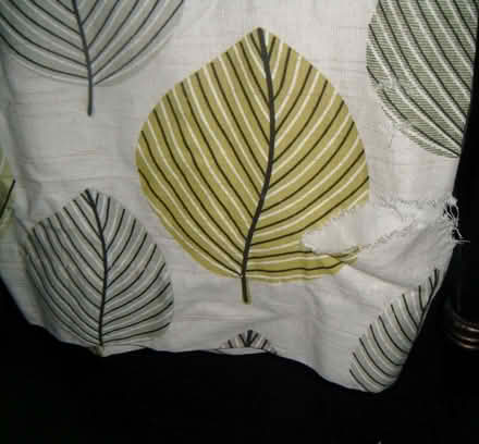 Photo of free 66 x 72 dunelm curtains (Fearnhead WA2) #2