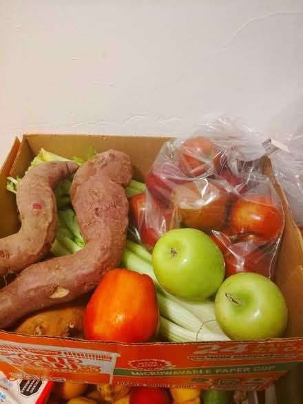 Photo of free produce (Snail) #1