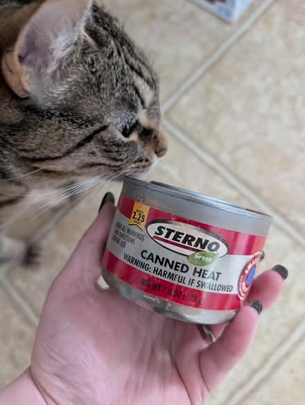 Photo of free Sterno (Elkton Heights neighborhood) #1