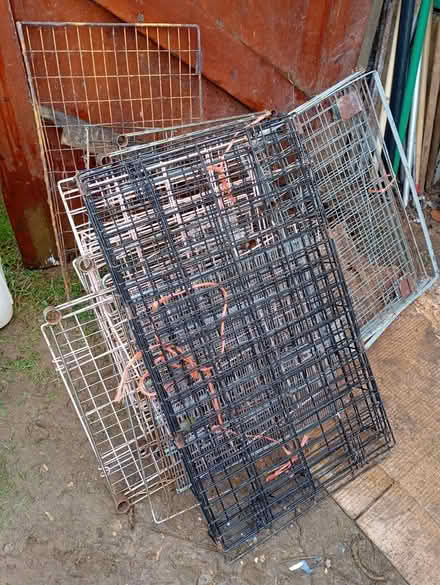 Photo of free many grates and grids (taylor avenue nn3) #1