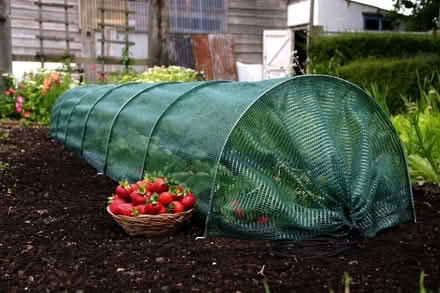 Photo of free Folding cloche (Anns Hill, Gosport PO12) #1