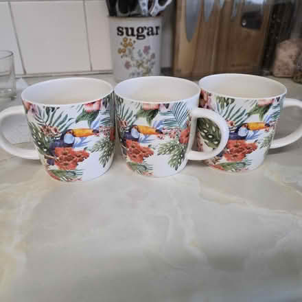 Photo of free 3 china mugs, No chips or cracks (Mile Oak BN41) #1