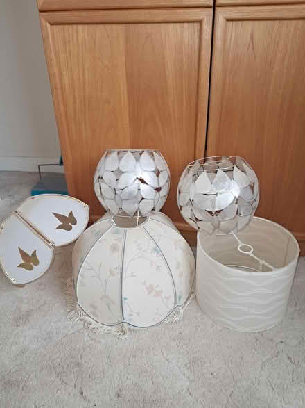 Photo of free Selection of Lampshades (CT1) #2
