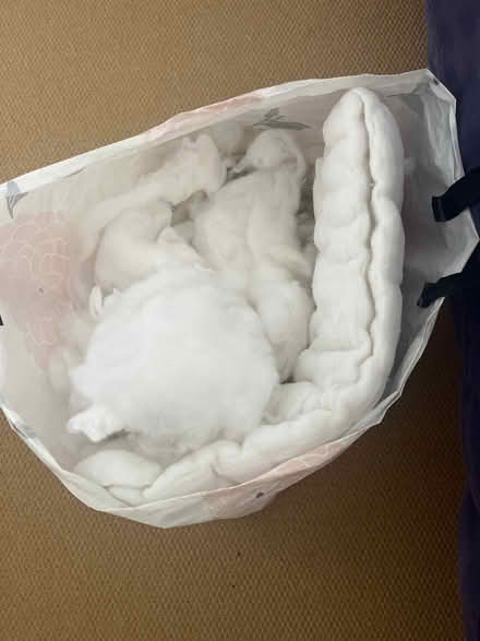 Photo of free Stuffing From Pillows & Cushions (Colehill BH21) #1