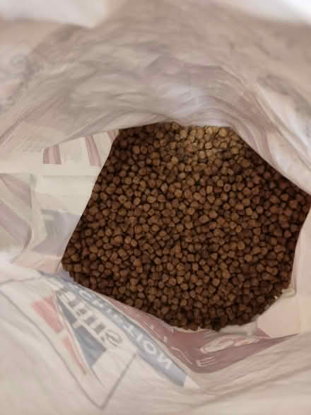 Photo of free Hills prescription id low fat (Stondon Massey CM15) #2