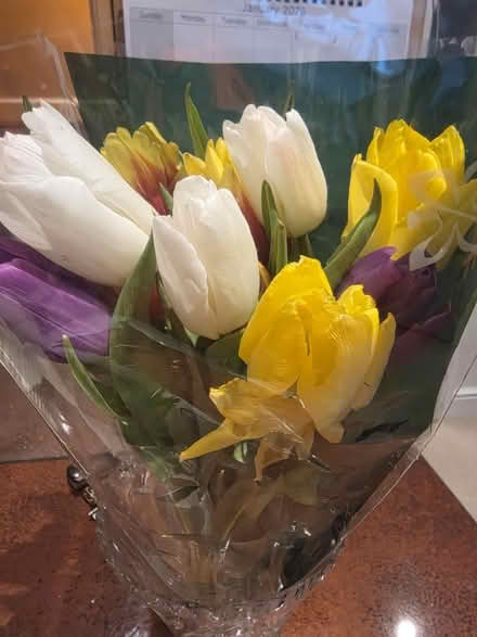 Photo of free Bunch of Tulips (Bovingdon) #1