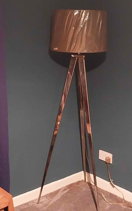Photo of free Tall lamp (Glasgow Craigton G52) #1