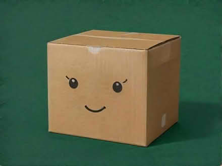 Photo of Strong cardboard box (Moreton CH46) #1