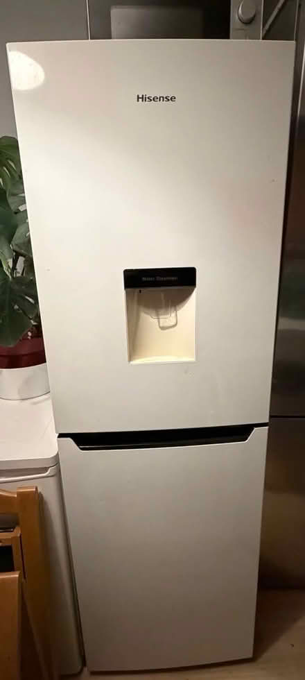 Photo of free Fridge freezer (Tottenham Hale N15) #2