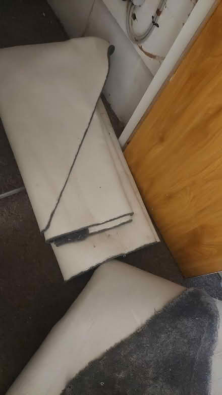 Photo of free Rug (Bannockburn FK7) #3