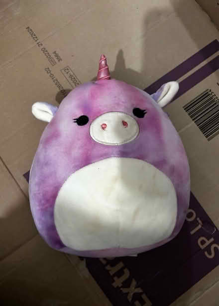 Photo of free Unicorn SquishMallow (Chatham ME4) #1