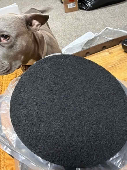 Photo of free 7.25" round compost filters (Annapolis (near Quiet Waters)) #1