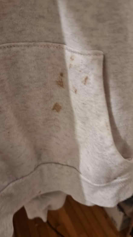 Photo of free Women's hoodie (South hampstead NW8) #2