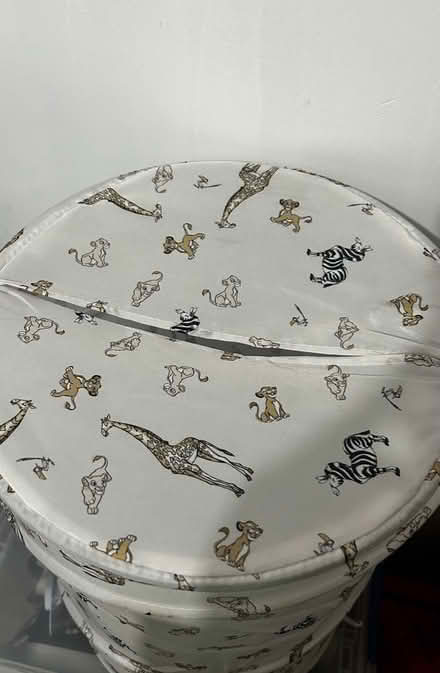 Photo of free Lion king clothes basket (Chatham ME4) #2