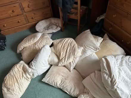 Photo of free Selection very old pillows and duvets (Furzton MK4) #2