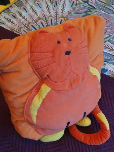 Photo of free Cat cushion/quilt (TS18 Grangefield) #1