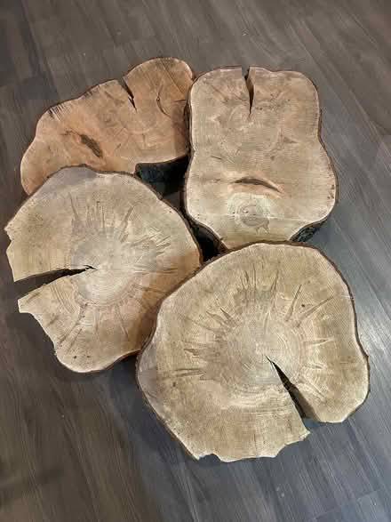 Photo of free Raw edge slabs (Hunt Club/Conroy area) #2