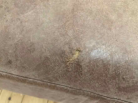 Photo of free Sofa (Cambridge CB4) #2