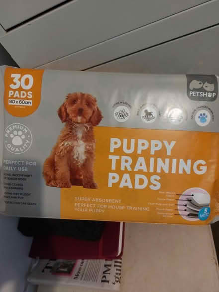 Photo of free Unopened puppy pads (CH48) #1