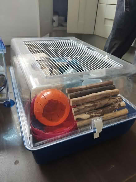 Photo of free Cat hamster fish equipment (Lisburn BT27) #3