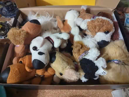 Photo of free Box of plush teddies (Deddington OX15) #1
