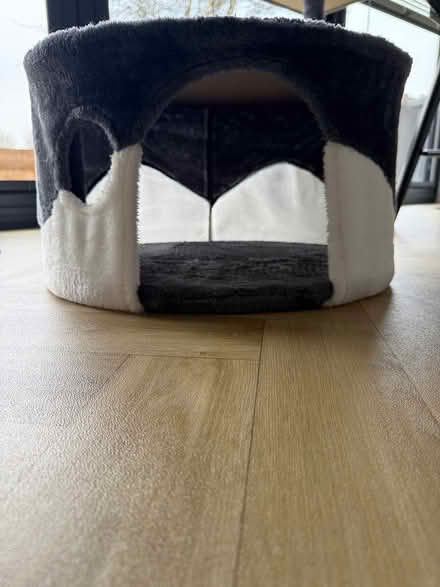 Photo of free Cat huts (Corner Lane, Leigh) #1