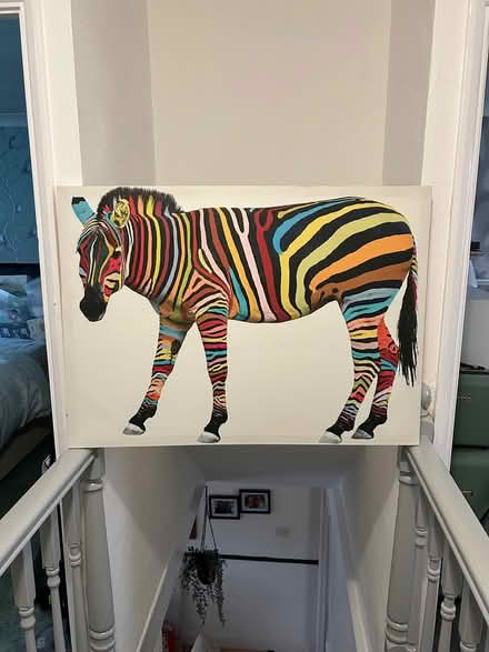 Photo of free Zebra print (Ware SG12) #1