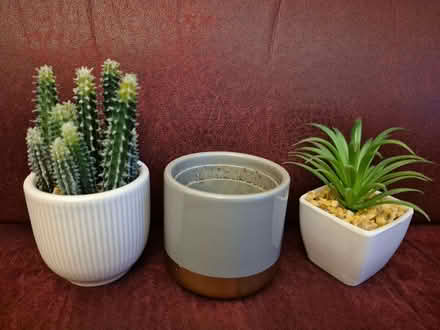 Photo of free Small plastic plants/pots (Station Area RG21) #1