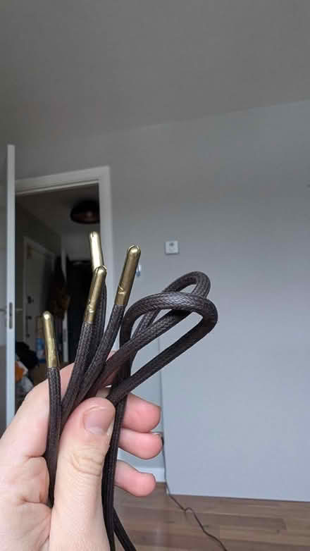 Photo of free Boot laces (SE26) #2