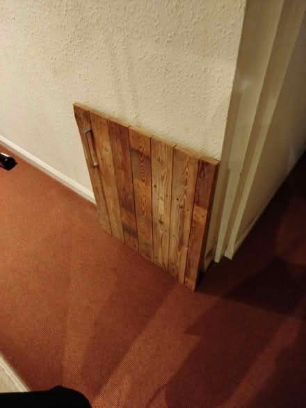Photo of free DIY freezer door (Harborne B17) #1