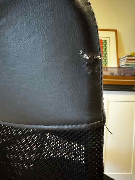 Photo of free Black Mesh Office Chair (TN2 3HT) #4