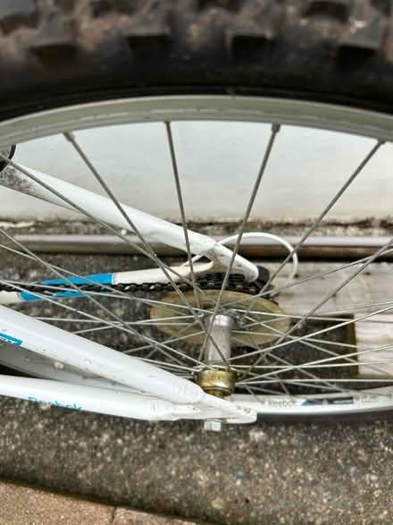 Photo of free Beic/ Reebok women’s bike (Tregarth LL57) #3