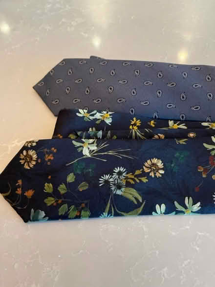 Photo of free Two new silk neckties (Adams Morgan/ DuPont Circle) #1