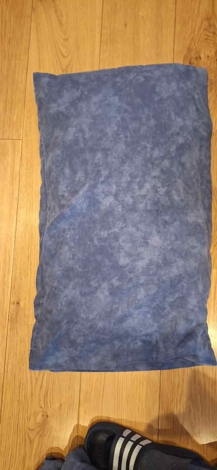Photo of free Double duvet and pillow (Lower Sydenham) #2