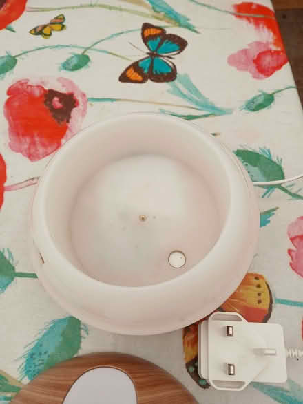 Photo of free Diffuser (Seaside BN22) #2