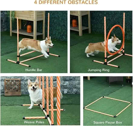 Photo of free Dog agility course (Hatton Wall, EC1N) #3