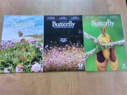 Photo of free Butterfly magazine (Fareham PO15) #1