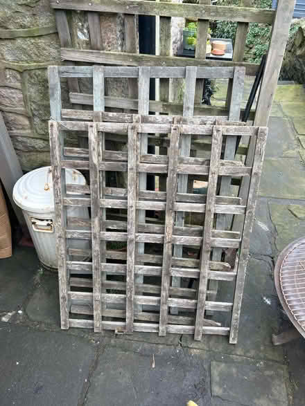 Photo of free Trellis (Whaley Bridge) #1