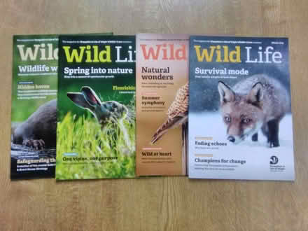 Photo of free Wild Life magazine (Fareham PO15) #1