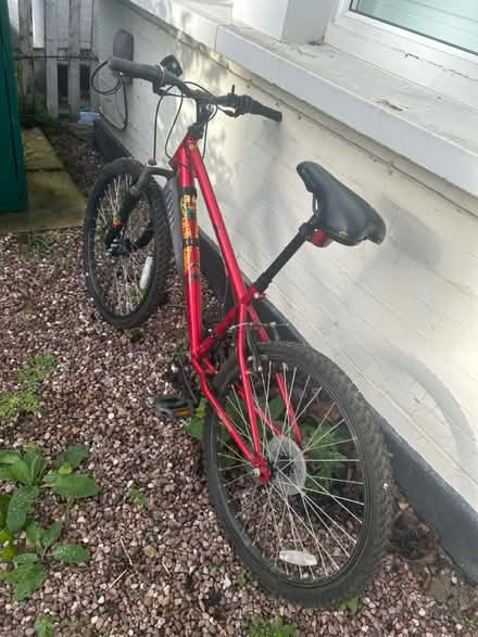 Photo of free Kids bike - standover height 55cm (W13) #4