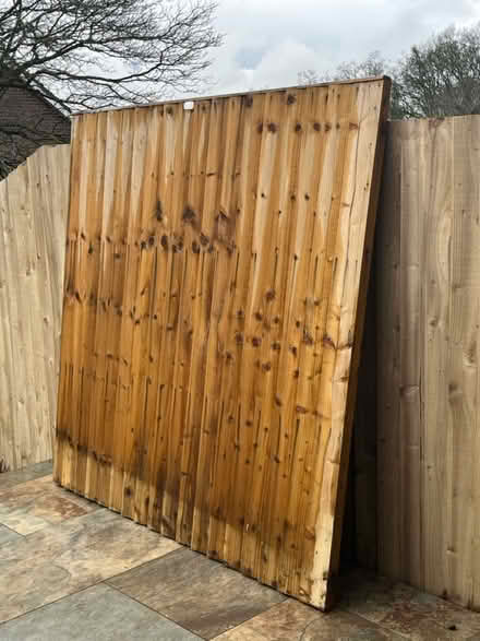 Photo of free 6x6 fence panel (Chaulden HP1) #1