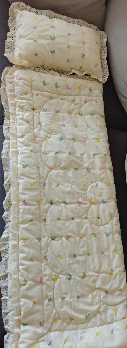 Photo of free Toddler/Baby Blanket and Pillow (Near 92nd and Sheridan) #1