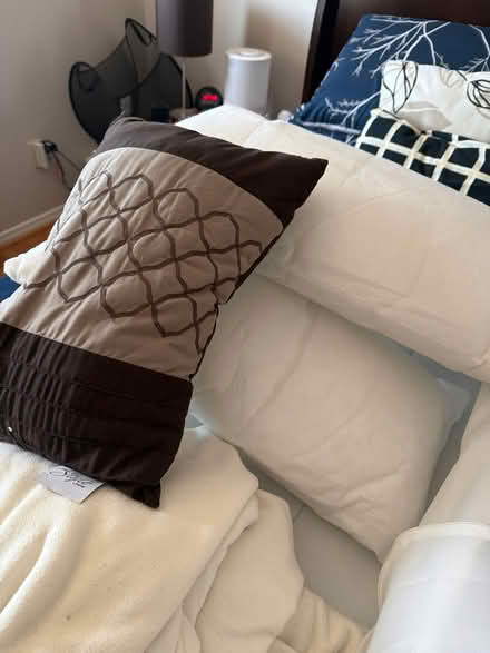 Photo of free Clean cushios (North west) #1