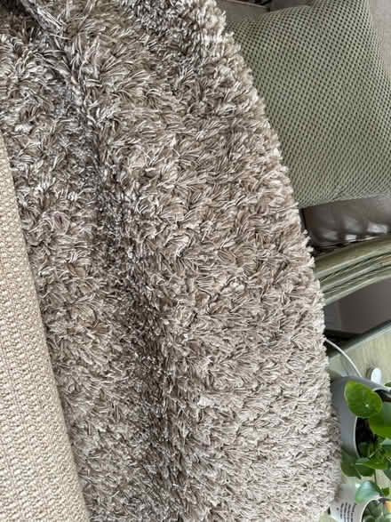 Photo of free Beige shaggy rug 1.6 m x 2.3 m (Urmston) #1
