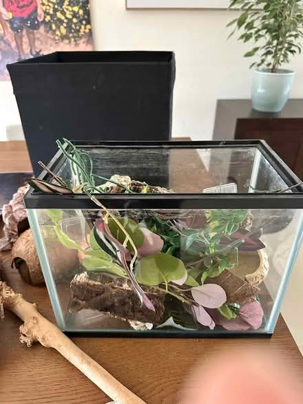 Photo of free Various vivarium things (Northolt) #1