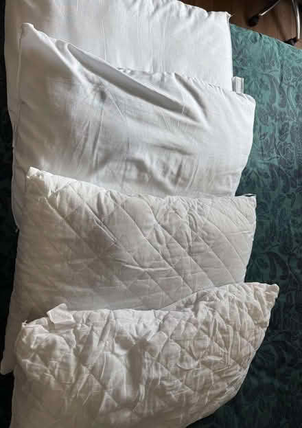 Photo of free Used pillows (New Marston OX3) #1