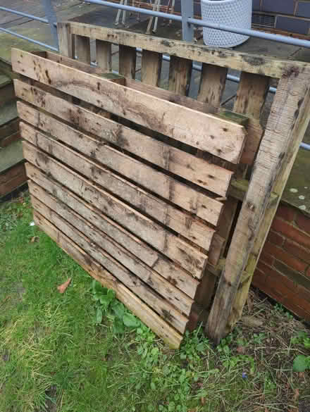 Photo of free Two wooden pallets (DE23) #1